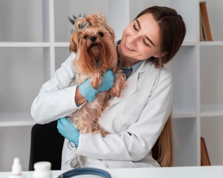 Qual é a diferença entre auxiliar e técnico de veterinária